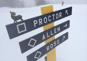 Proctor-Allen-Ross Proctor-Allen-Ross